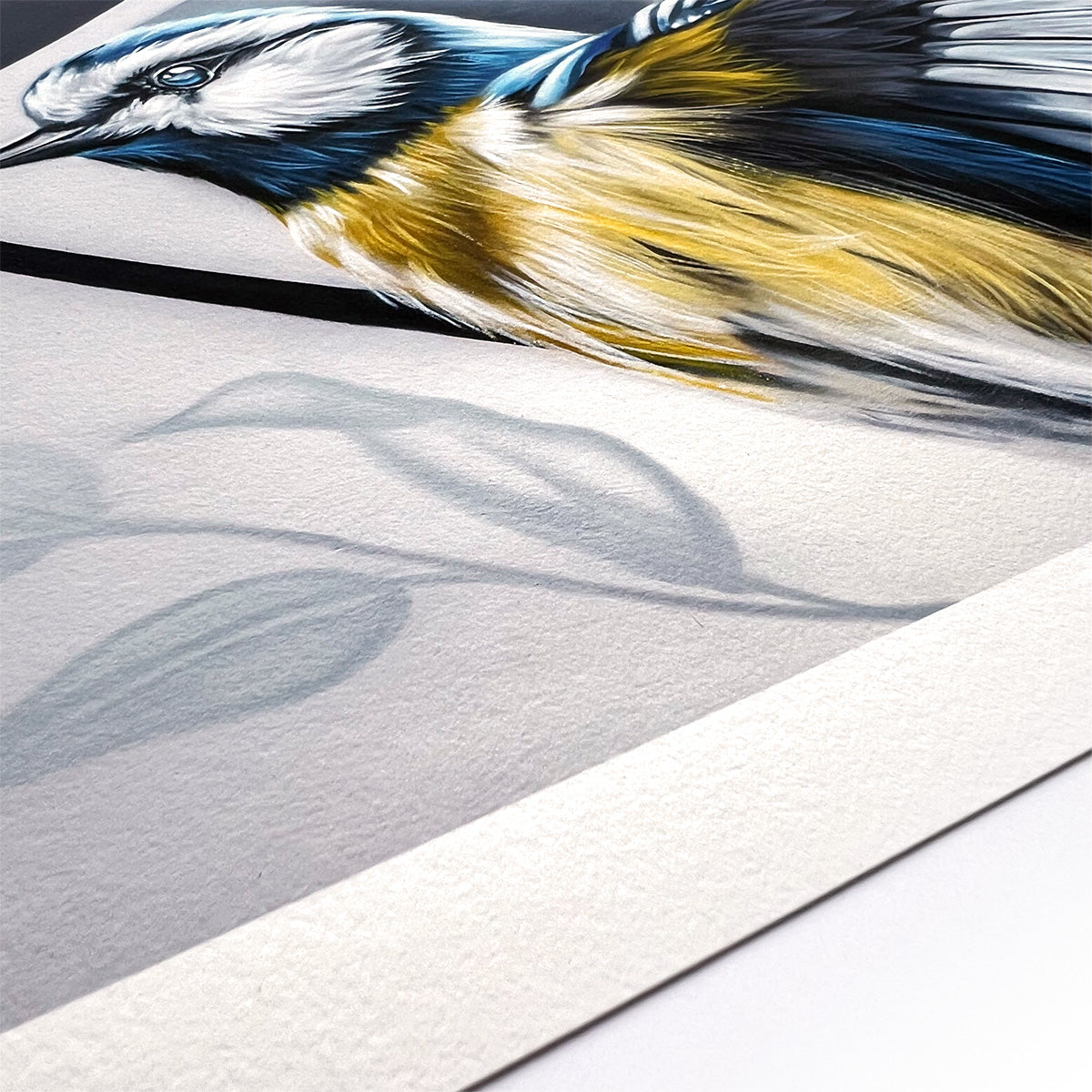 Detailaufnahme Blaumeise Kunstdruck auf strukturiertem Künstlerpapier