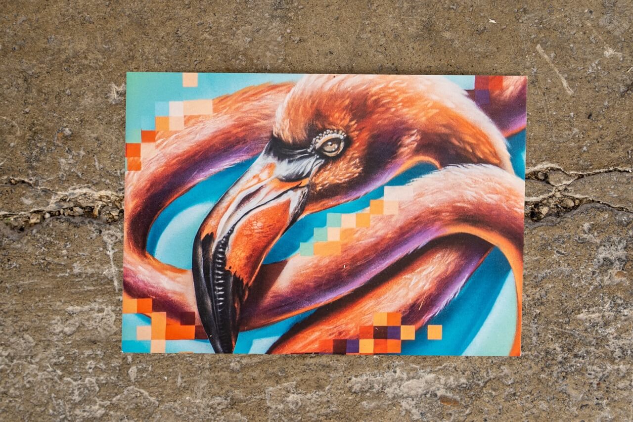 Diese Aufnahme zeigt eine detailreiche Postkarte mit einem dynamisch inszenierten Flamingo-Motiv auf rauem Betonuntergrund. Die kräftigen Farben und pixelartigen Elemente im Hintergrund verleihen dem urbanen Kunstwerk einen digitalen Twist, während die Darstellung des Tiers kraftvoll und lebendig wirkt.