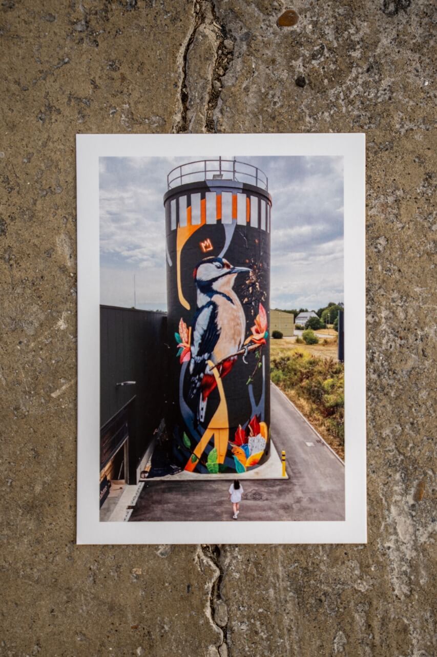 Ein Specht als Streetart auf einem alten Silo – größer geht’s kaum. Diese Postkarte zeigt eines der spektakulärsten Murals von Stone Graffiti: kraftvoll, bunt und voller Bewegung. Urban Art trifft auf Natur, Symbolik auf Größe.