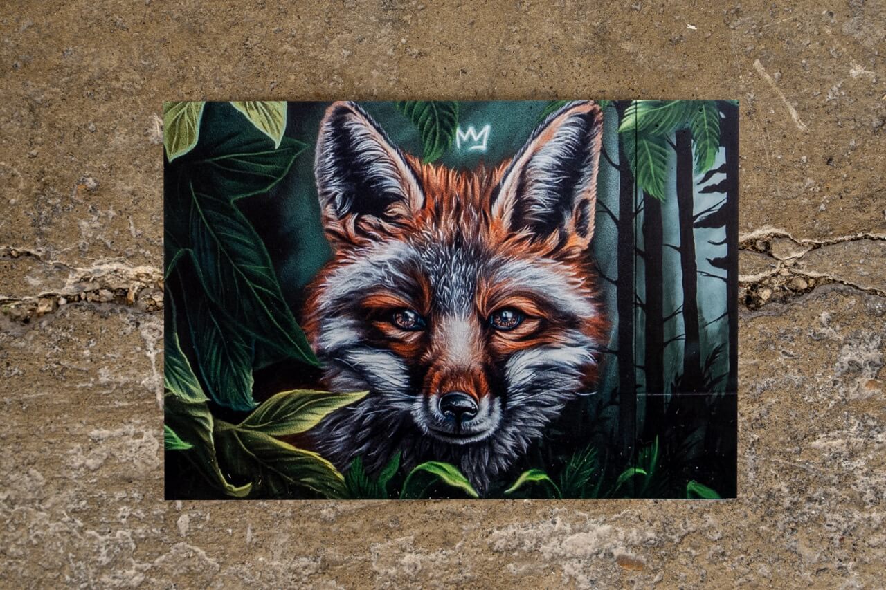 Dieser Fuchs zieht dich mit seinem wachen Blick direkt in seinen Bann. Zwischen dichtem Grün und mystischen Schatten strahlt das Motiv eine fast magische Ruhe aus. Urban Art trifft Wildnis – detailverliebt, charakterstark und mit einer Krone für den König des Waldes.