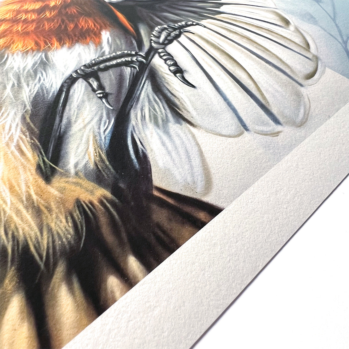 Der Ausschnitt zeigt die beeindruckende Detailtiefe des Rotkehlchen-Prints auf strukturiertem Hahnemühle-Papier. Feinste Linien und satte Farben verleihen dem Motiv eine nahezu greifbare Lebendigkeit.
